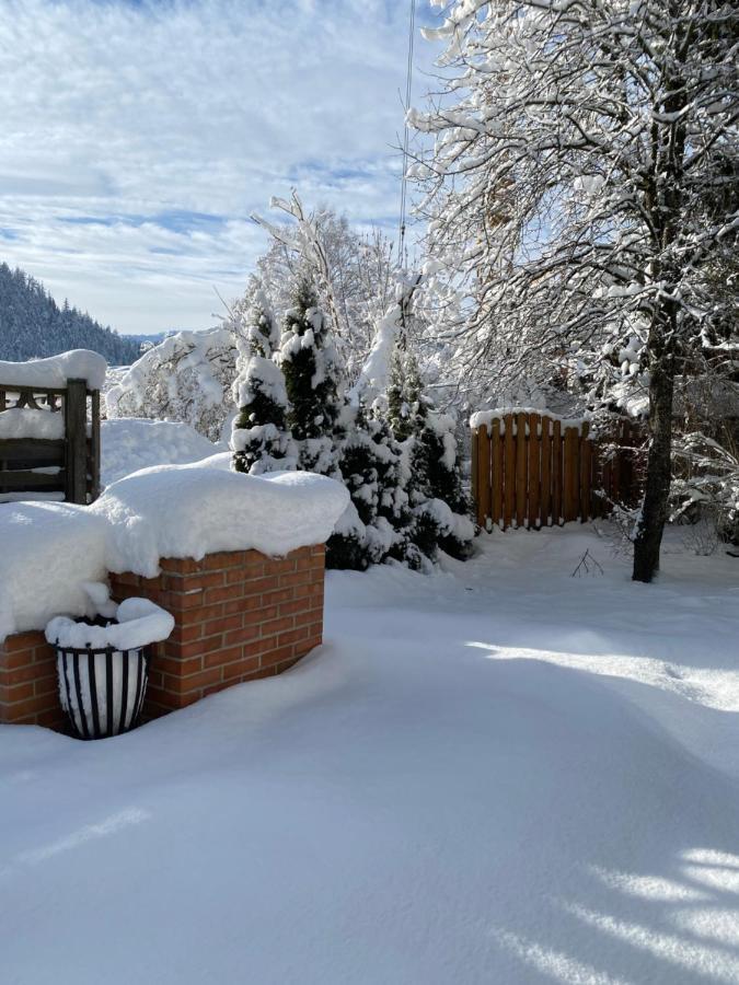 Haus Alpenrose Apartment ไวดริง ภายนอก รูปภาพ